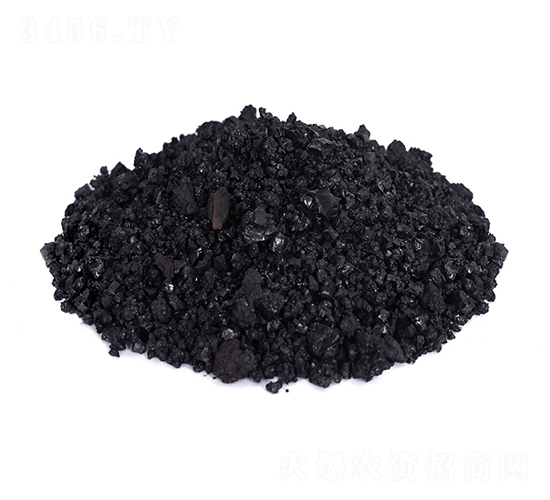 �w����ֲ���-�𺣵|