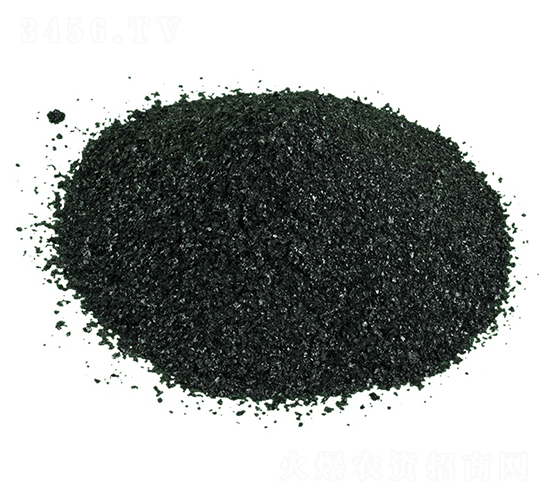 Ƭ�ֲ���c-�𺣵|