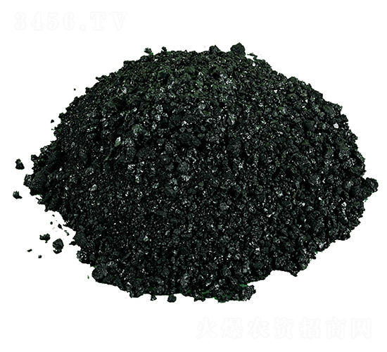 �w����ֲ���c-�𺣵|