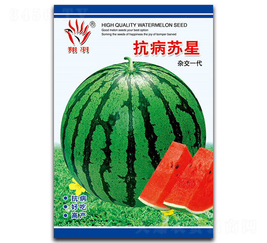 �����K��-���ϷN��-���ܷN�I(y��)