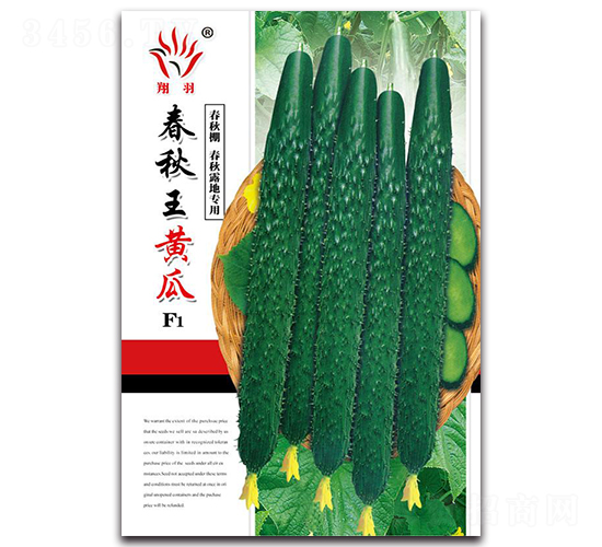 �������S��-�S�ϷN��-���ܷN�I(y��)