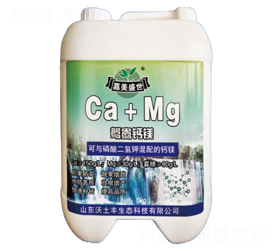 �x���}�V-�����S