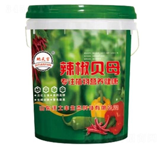 ����ؐĸ-�����S