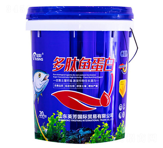 �����~����-���-Ӣ��