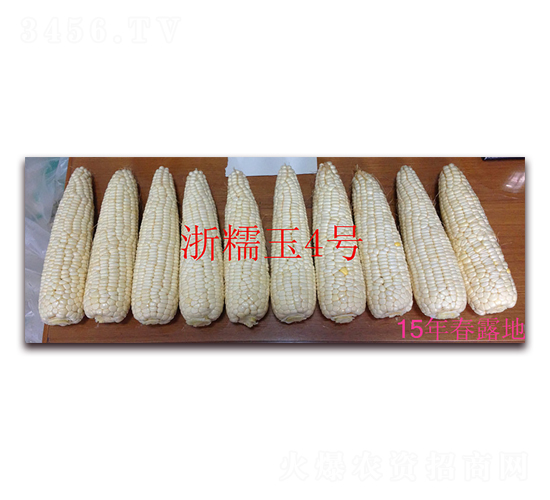 ��Ŵ����̖��15�괺¶�أ�-Ŵ���׷N��-���ܷN�I(y��)