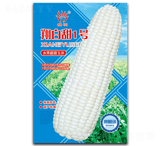 �����1̖-�����׷N��-���ܷN�I(y��)