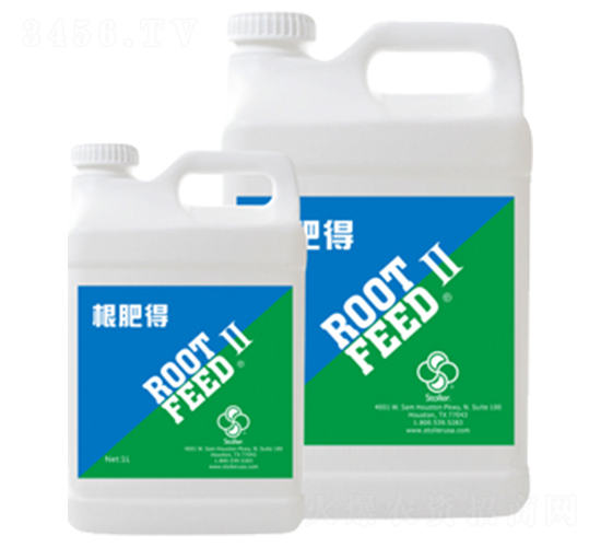 ���ʵ�-������