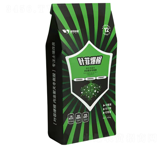 �~�Ʊ���-�°��~��