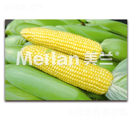 ������007̖-�����׷N��-�G��