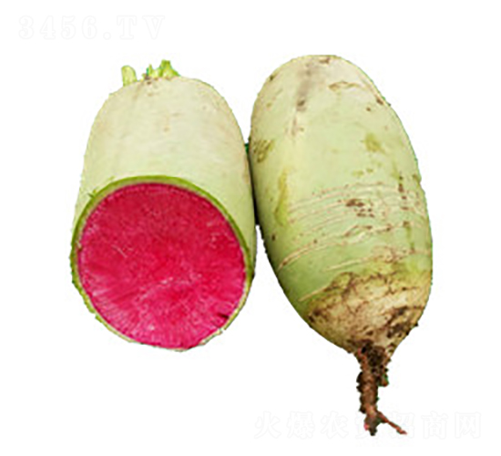 �����}����̖-�}���N��-���߷N�I(y��)