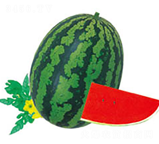 ȫ��4K-���ϷN��-���߷N�I(y��)