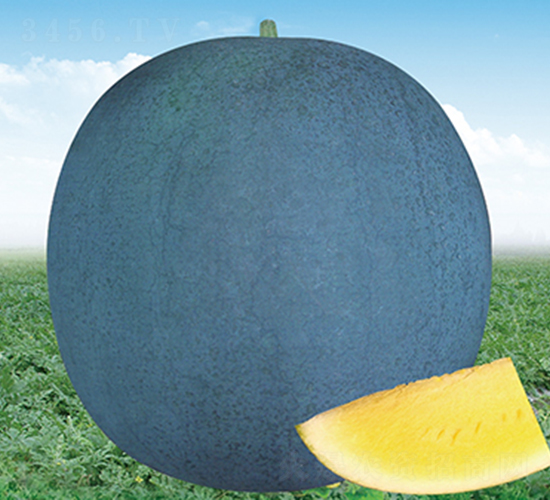 �R�S�o��һ̖(h��o)-���ϷN��-���R�r(n��ng)�I(y��)