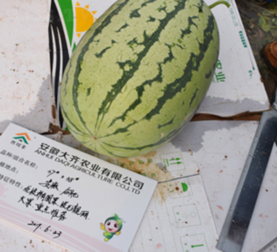 ���R378-���ϷN��-���R�r(n��ng)�I(y��)