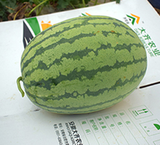 �p�t218-���ϷN��-���R�r(n��ng)�I(y��)