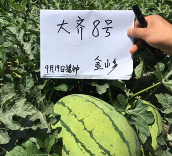 ���R��̖-���ϷN��-���R�r(n��ng)�I(y��)