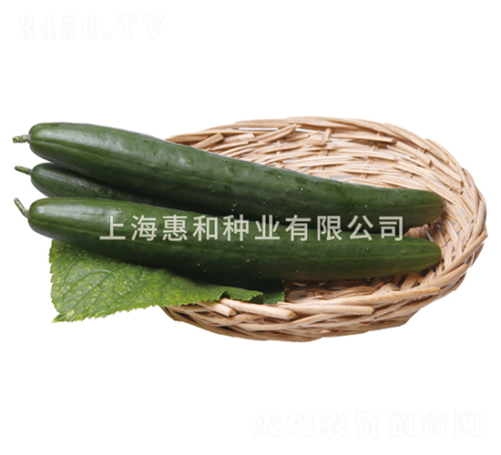 ���Gһ̖-�S�ϷN��-�ݺͷN�I(y��)