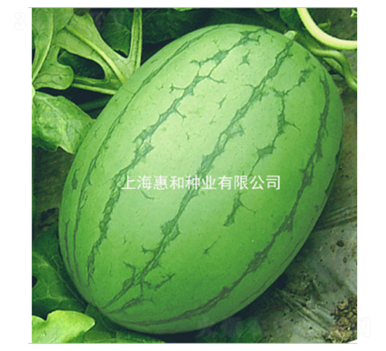 ����-���ϷN��-�ݺͷN�I(y��)