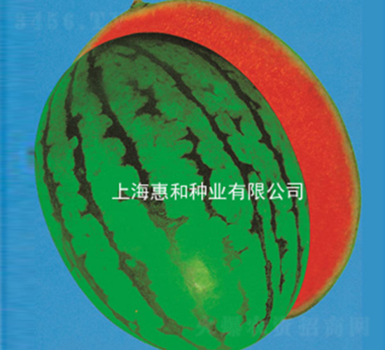 BT�f����-���ϷN��-�ݺͷN�I(y��)