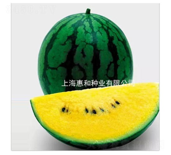 �½��-���ϷN��-�ݺͷN�I(y��)