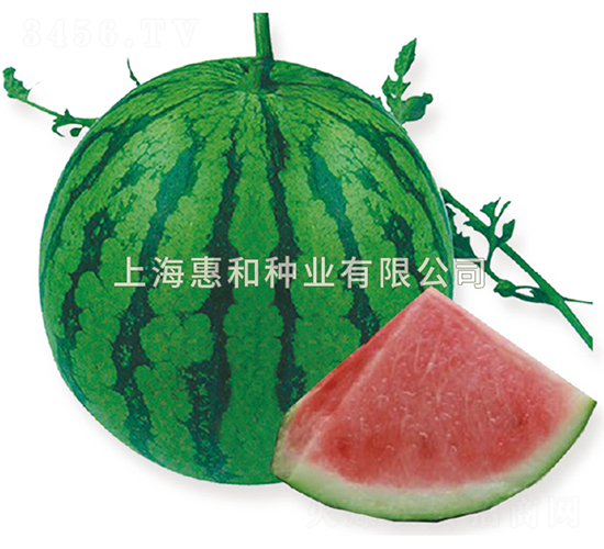 ���8424-���ϷN��-�ݺͷN�I(y��)