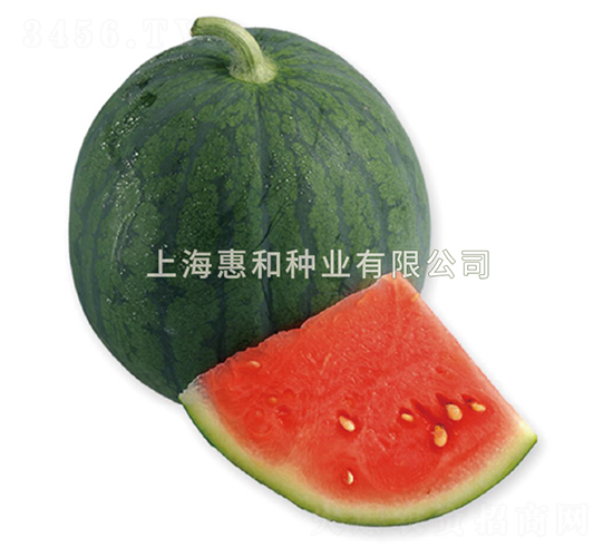 ����-���ϷN��-�ݺͷN�I(y��)