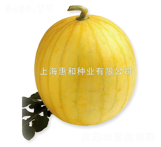 �SƤ����-���ϷN��-�ݺͷN�I(y��)