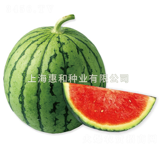 ����-���ϷN��-�ݺͷN�I(y��)