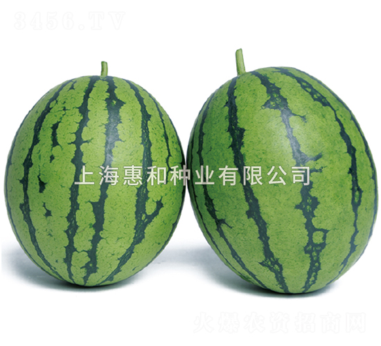 �G�-���ϷN��-�ݺͷN�I(y��)