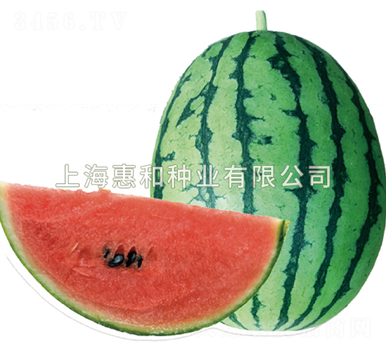 ����-���ϷN��-�ݺͷN�I(y��)