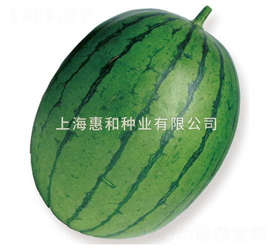 �����w�t��-���ϷN��-�ݺͷN�I(y��)