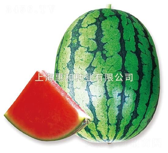 �\�Cǰ��-���ϷN��-�ݺͷN�I(y��)