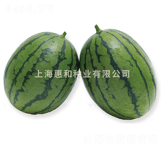 Fr�紺�t��-���ϷN��-�ݺͷN�I(y��)