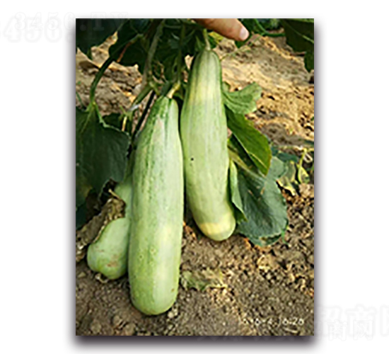 �\���-��ϷN��-����N��