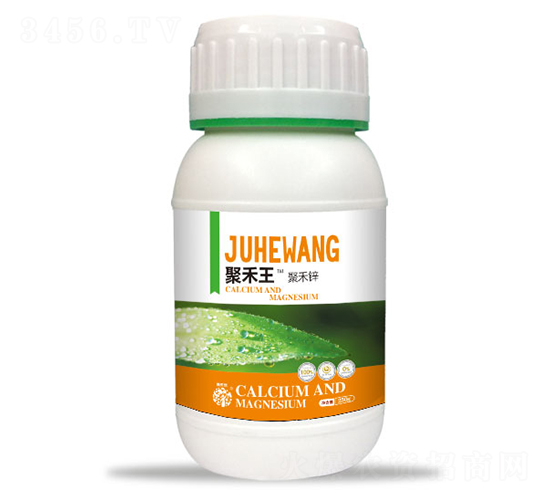 �ۺ��\-�ۺ���-����Ȼ