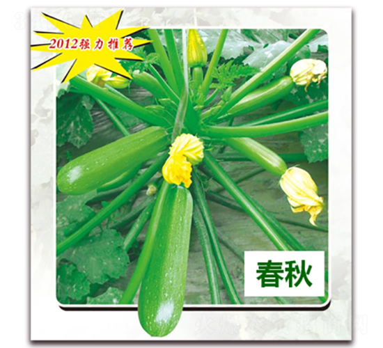 ����1108-�����J�N��-����N��