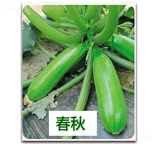 ����1506-�����J�N��-����N��