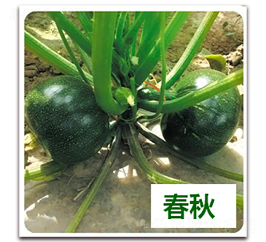 ����-�����J�N��-����N��