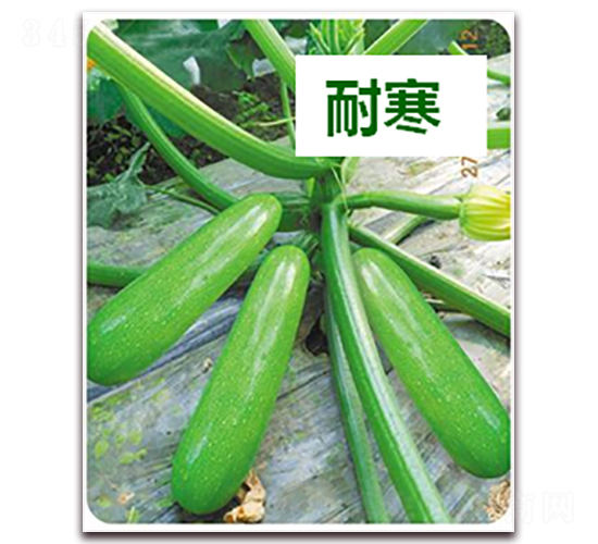 ����18̖-�����J�N��-����N��