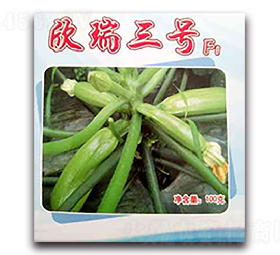 ������̖(h��o)-�����J�N��-����N��