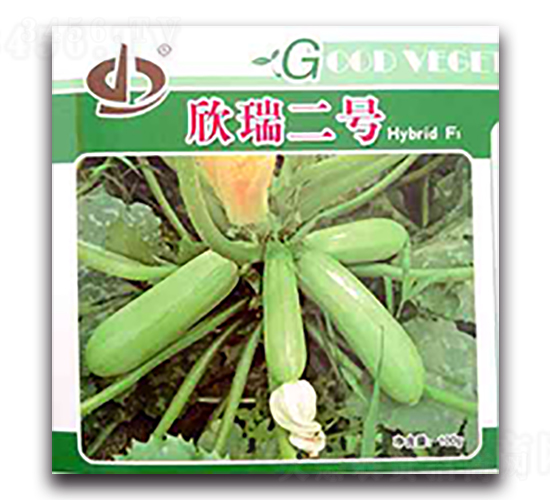 �����̖(h��o)-�����J�N��-����N��