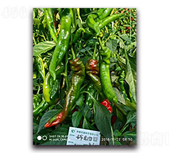 ����198-�����N��-����N��