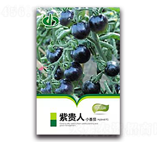 ���F��-���ѷN��-����N��