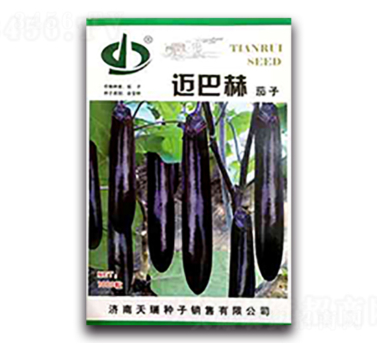 �~�ͺ�-���ӷN��-����N��