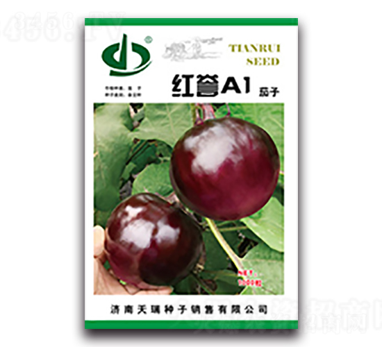 �t�uA1-���ӷN��-����N��