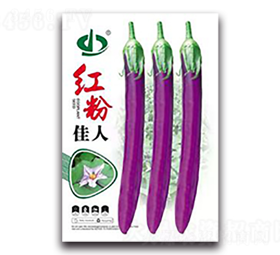 �t�ۼ���-���ӷN��-����N��