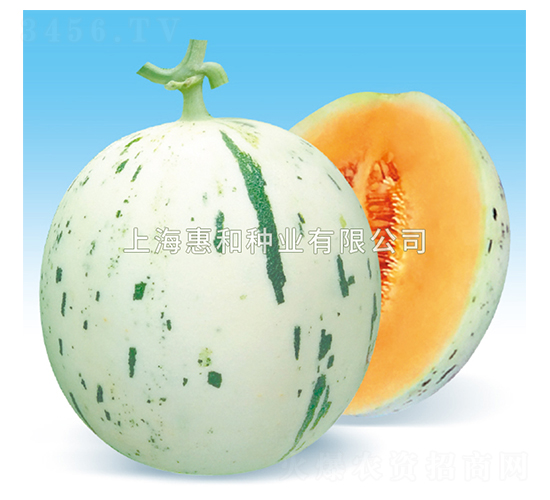 �t¶-��ϷN��-�ݺͷN�I(y��)