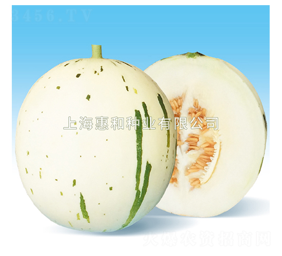 ��¶-��ϷN��-�ݺͷN�I(y��)