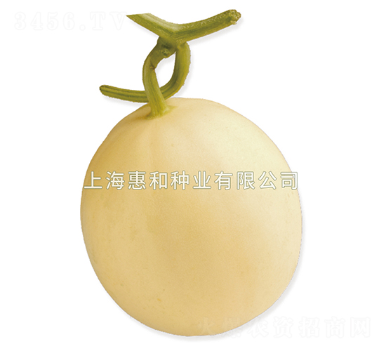 ����������̖-��ϷN��-�ݺͷN�I(y��)