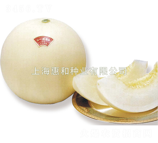 �������ж�̖(h��o)-��ϷN��-�ݺͷN�I(y��)