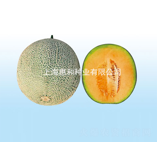 �f�t-��ϷN��-�ݺͷN�I(y��)